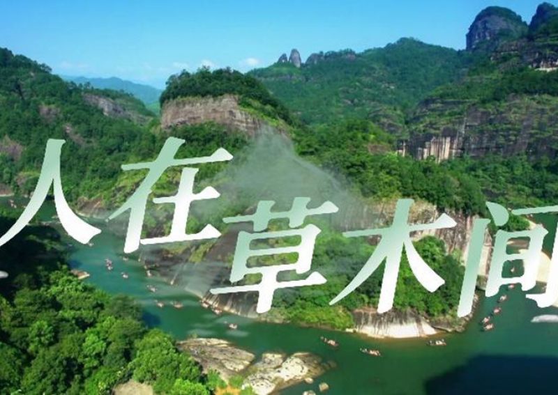 何以中国｜走进武夷山 人在草木间 