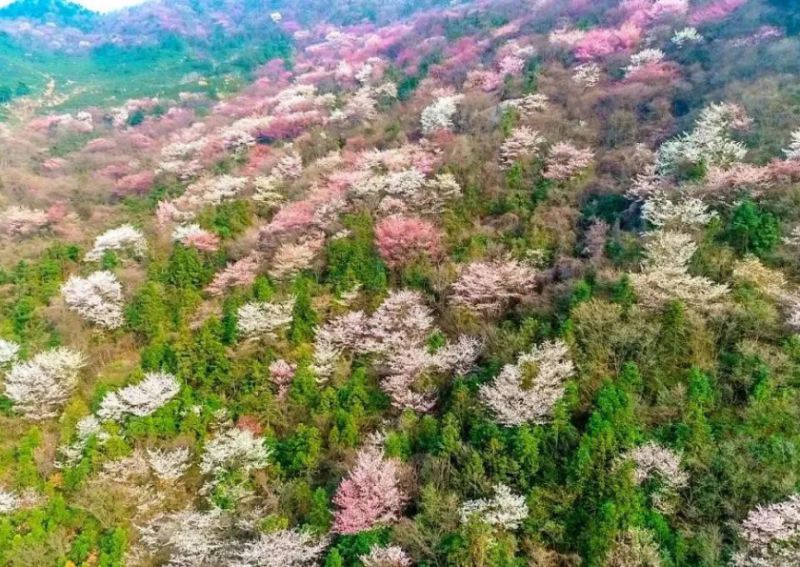 官宣！2月16日起西河景区免门票