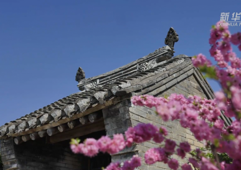 文化中国行｜让“青砖上盛开的花朵”在传承中绽放 