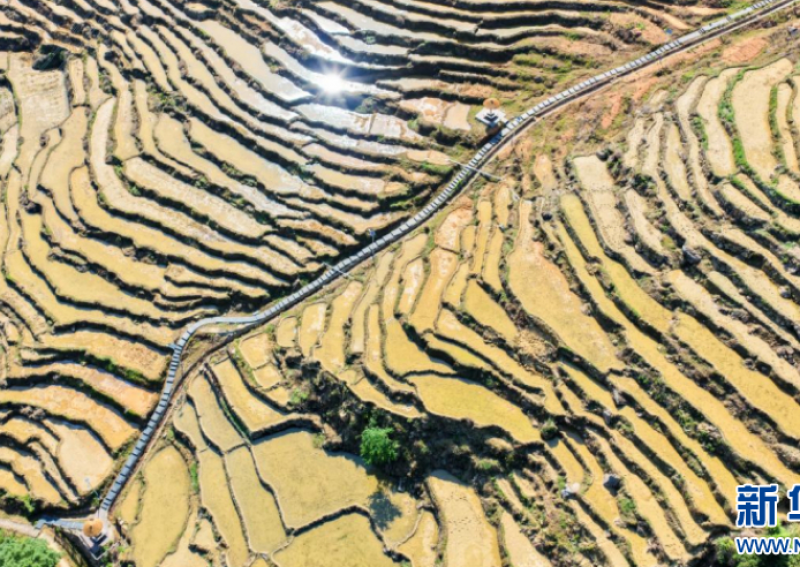 福建德化：光影梯田 千面同辉