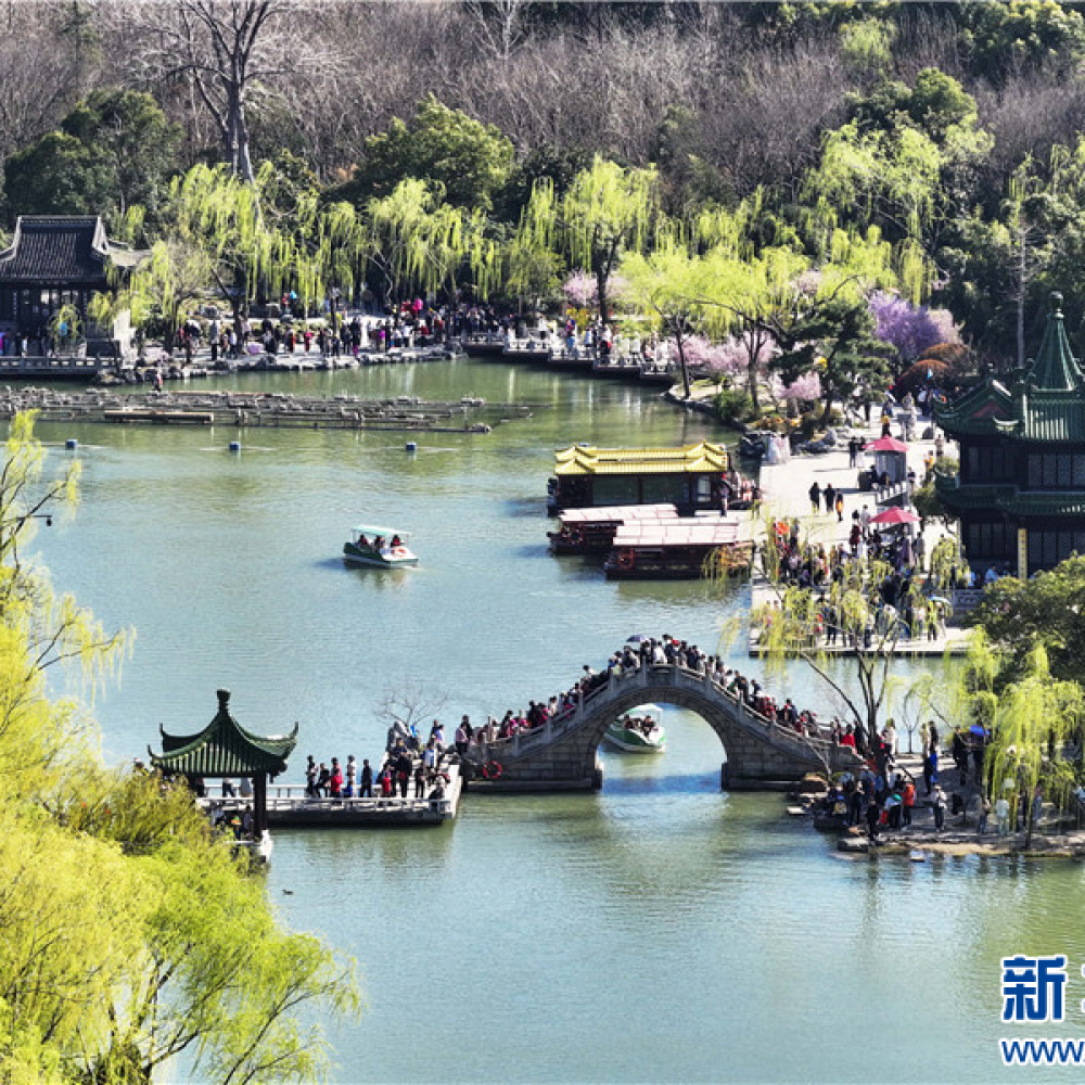 江苏扬州：春到瘦西湖