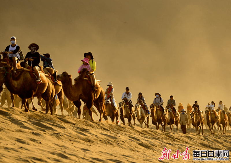 来敦煌骑骆驼也要排号了，以后需“对号乘驼”