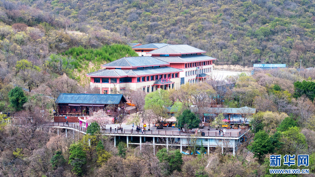 汉中龙头山景区：生态美景引客来