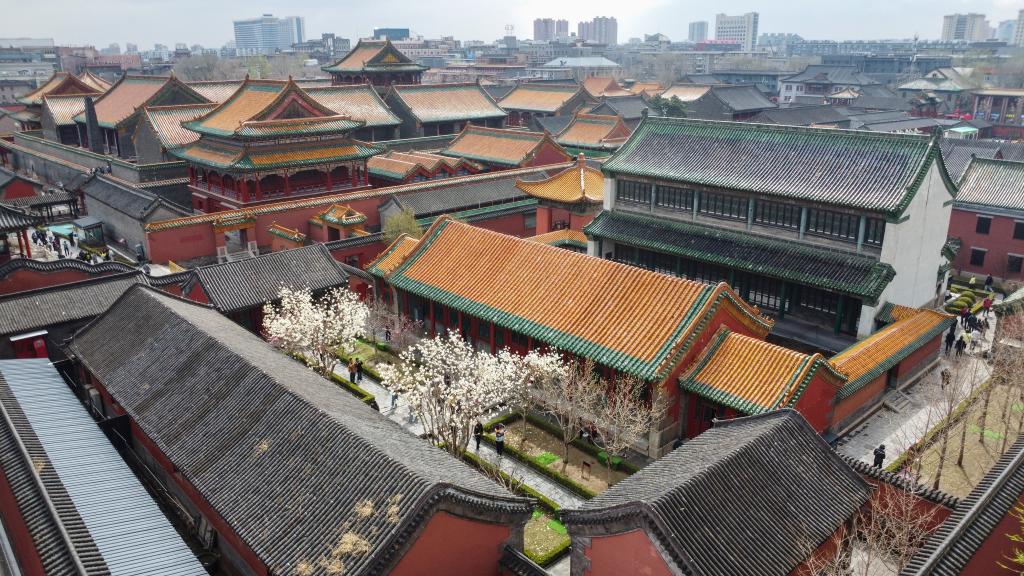 追着花期去旅行：“赏花经济”绽放文旅消费新活力