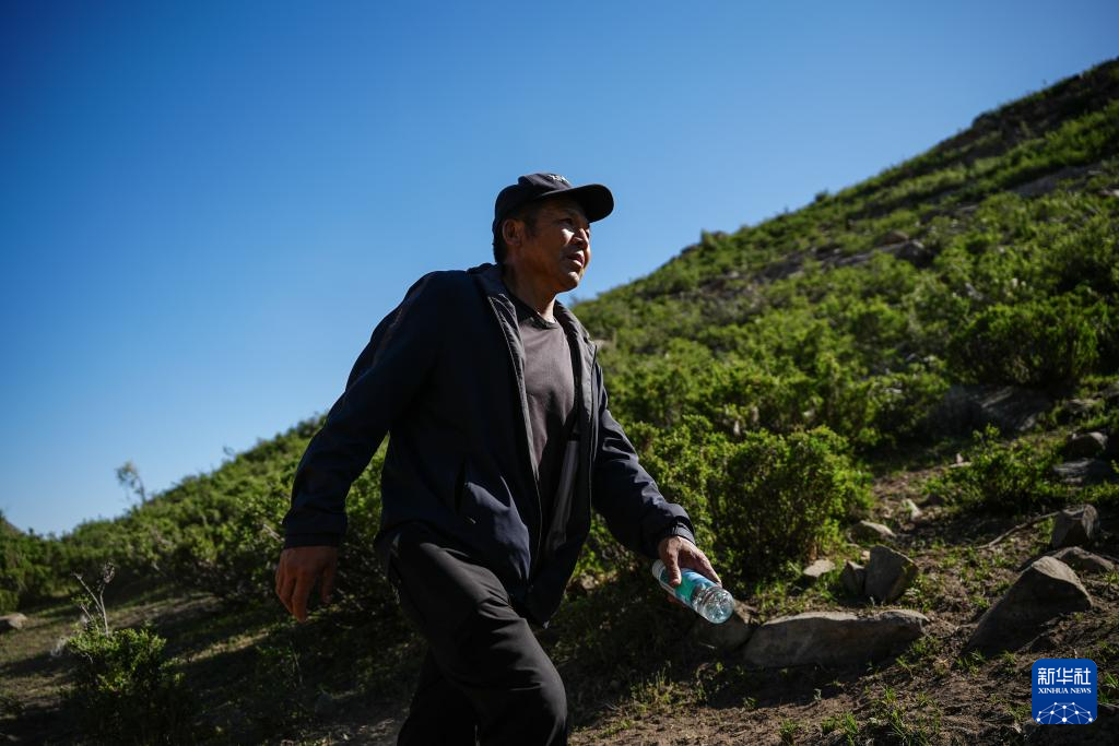 十里山路丈量初心八载守护传承文明