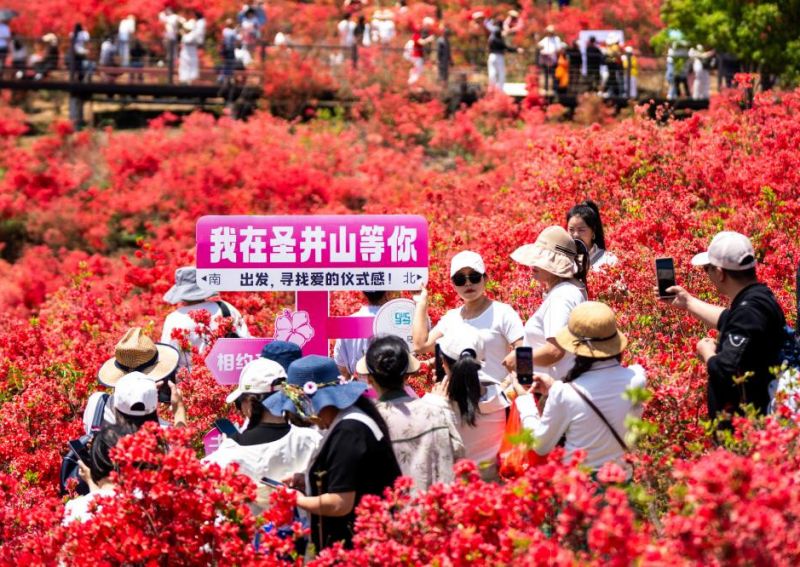 首季中国经济观察丨听，文旅消费迸发新活力